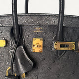 Bolsa Hermès Birkin 25 Ostrich Noir com Ferragens Gold