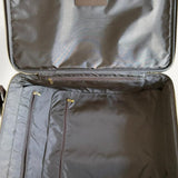 Mala Louis Vuitton Damier Ébenè Pégase