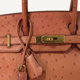Bolsa Hermès Birkin 30 Ostrich Orange com Ferragens Gold