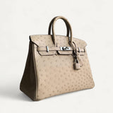 Bolsa Hermès Birkin 25 Ostrich Parchemin com Ferragens Palladium